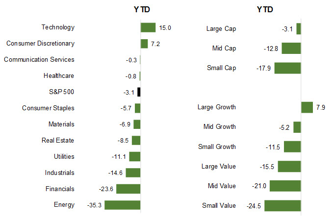 Investor Perceptions of Performance